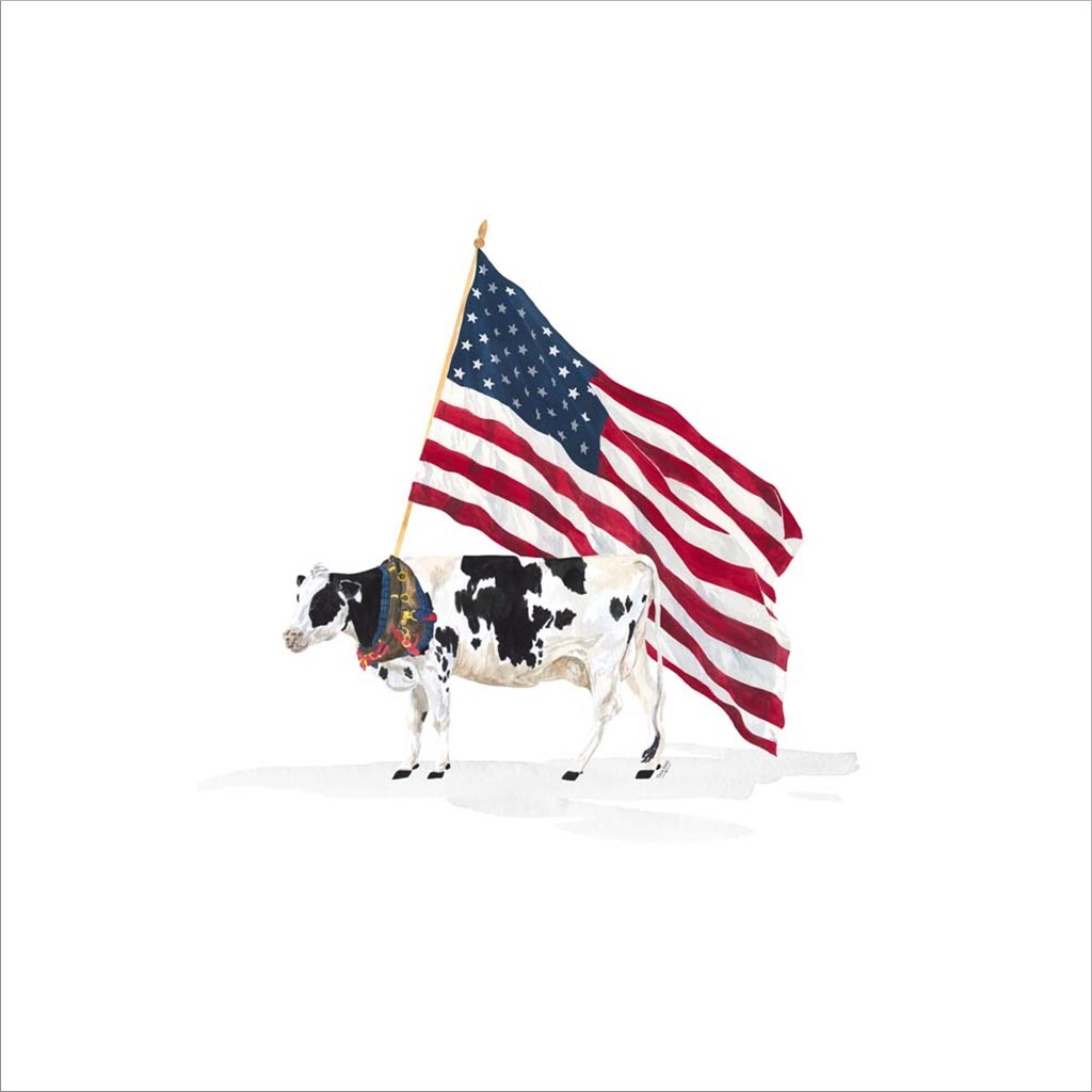 All American Farmhouse on White I by Tara Reed 13&#x22; x 13&#x22; Framed Wall Art