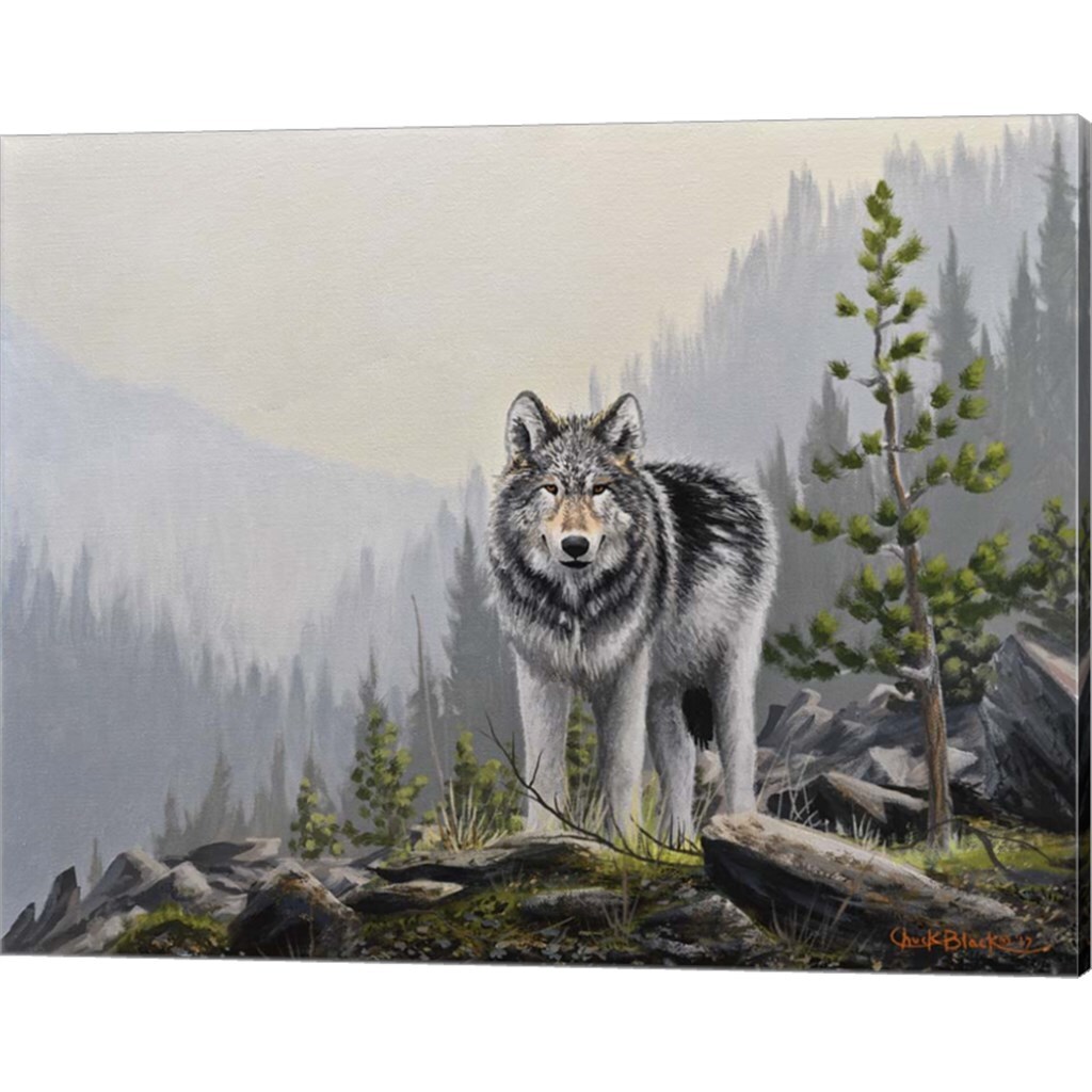 A Wild Domain by Chuck Black 20&#x22; x 16&#x22; Canvas Wall Art