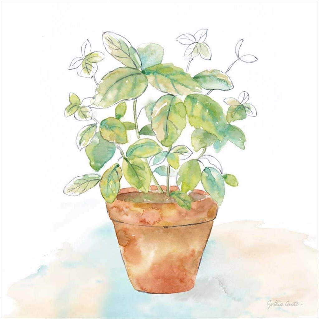 Let it Grow VI by Cynthia Coulter 12&#x22; x 12&#x22; Canvas Wall Art
