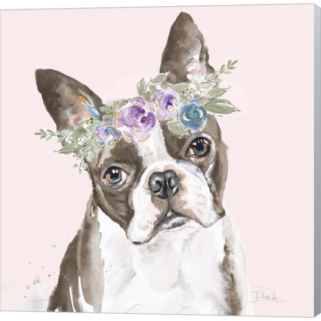 Flower Crown Pet III by Patricia Pinto 12" x 12" Canvas Wall Art