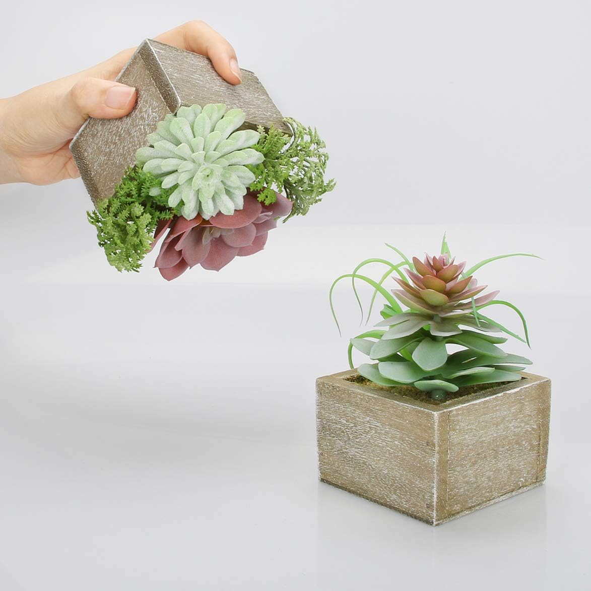 Artificial Mini Succulents in Wood Pots, Set of 3, for Home and Office Decor