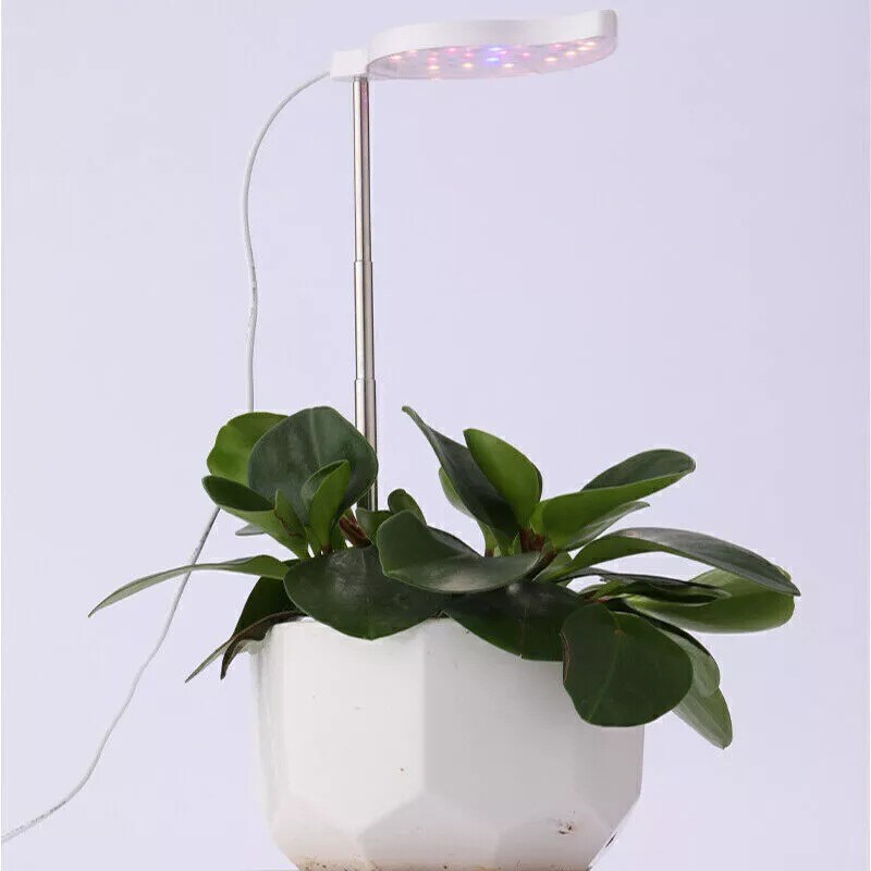 Full Spectrum LED Grow Light Plant Growing Lamp for Indoor Desk Plants Flower