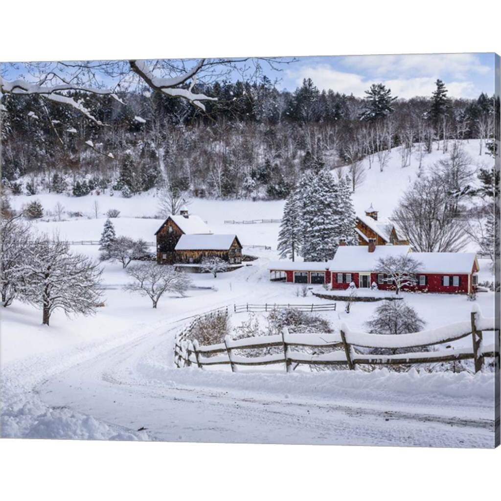 Winter in Vermont by Brenda Petrella Photography LLC 20" x 16" Canvas Wall Art
