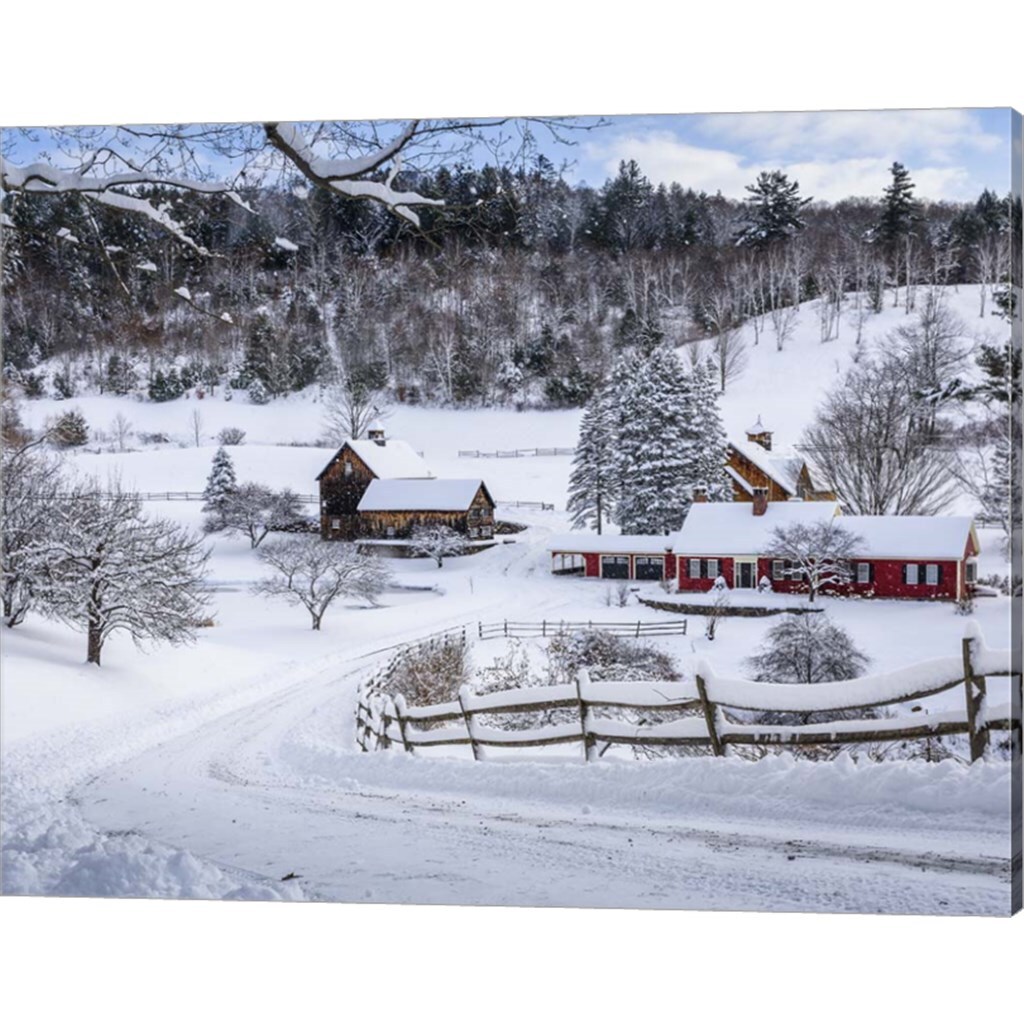 Winter in Vermont by Brenda Petrella Photography LLC 20&#x22; x 16&#x22; Canvas Wall Art