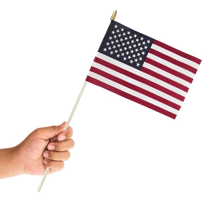 36 pc Bulk Medium Cloth American Flags
