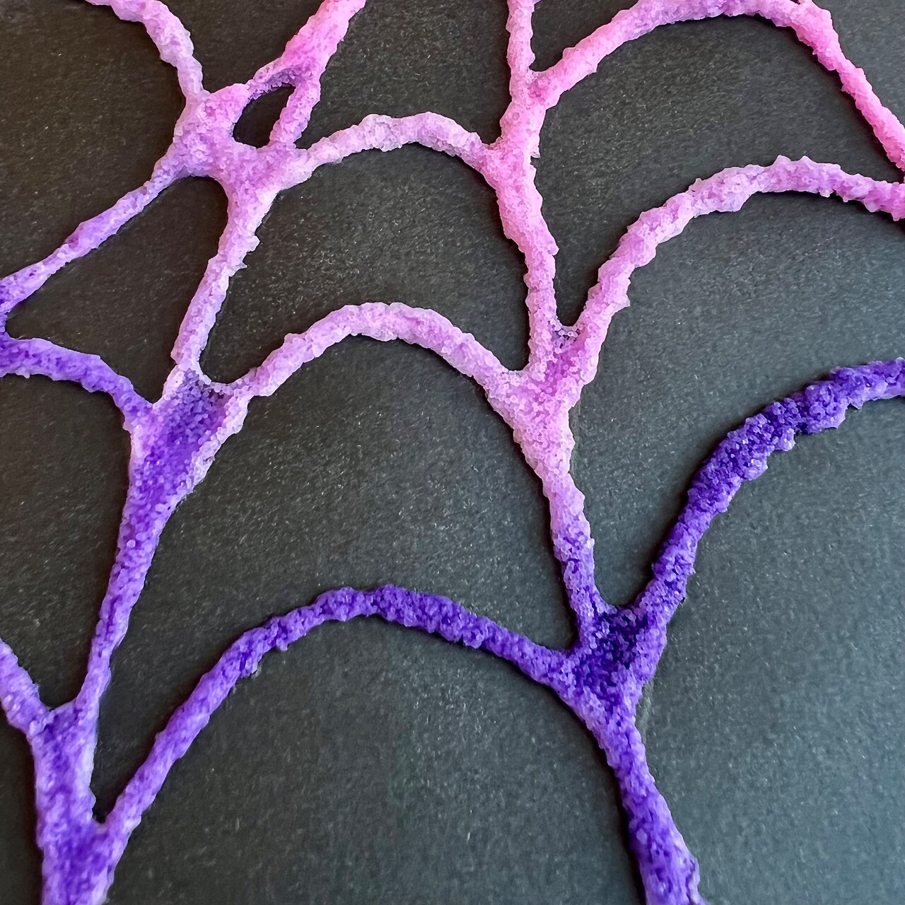 Kids Club: Spider Web Salt Painting