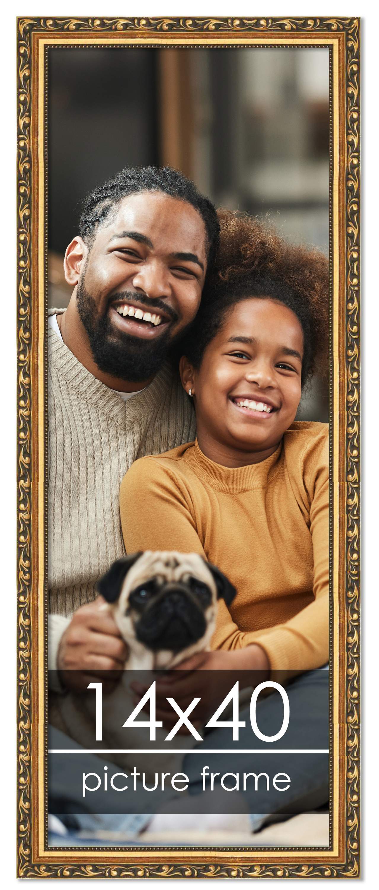 14x40 Museum-Quality Picture Frame with UV-Resistant Acrylic &#x26; Acid-Free Backing, Available in 4 Finishes - Gold, Silver, Bronze, and Black