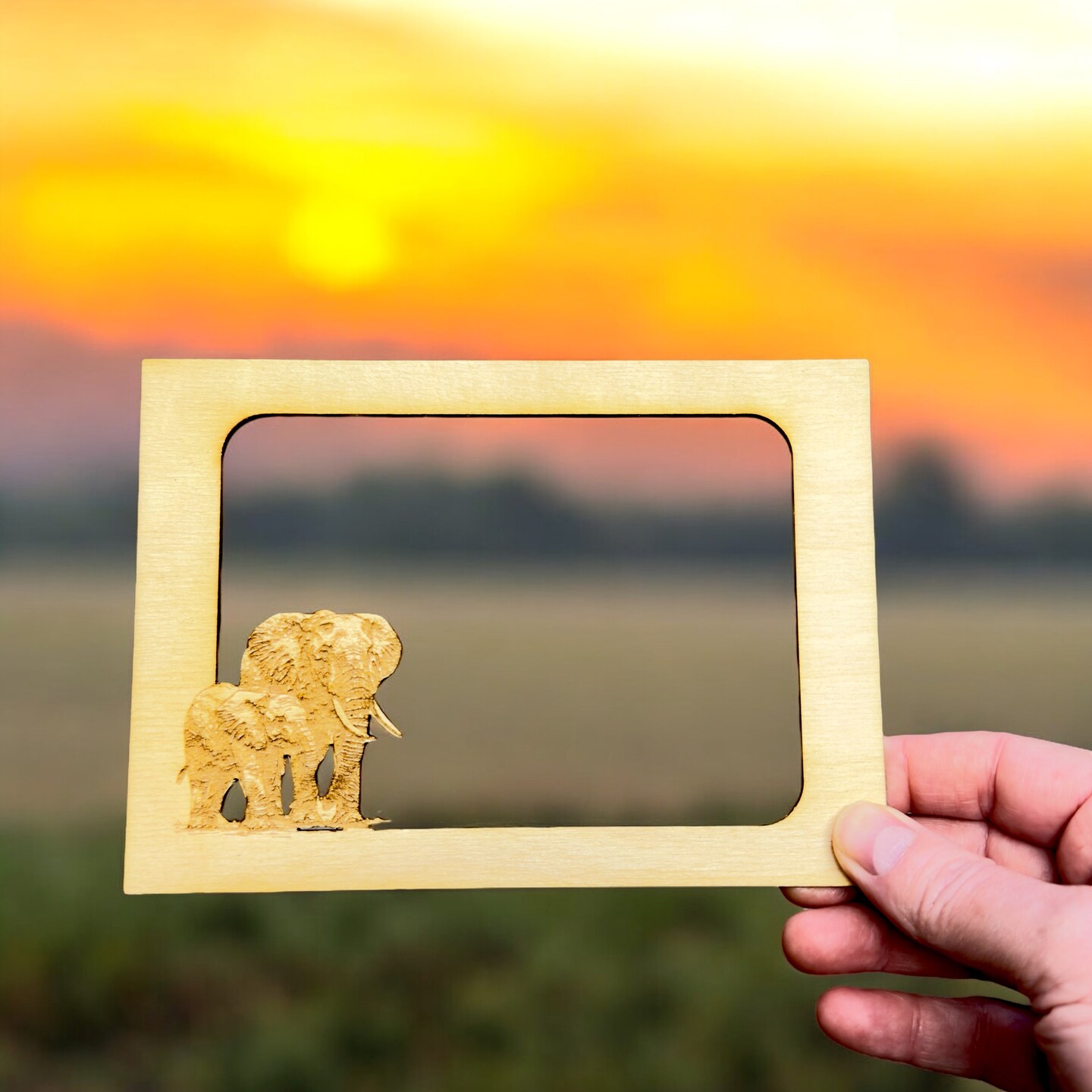 Elephant Photo frame insert (FRAME NOT INCLUDED)