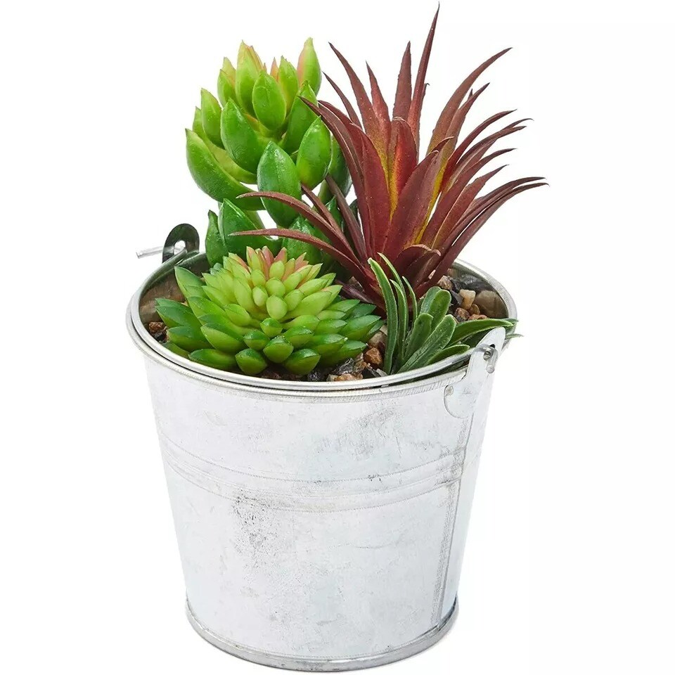 4x Artificial Succulents, Colorful Cactus Plants with Iron Bucket, 6.5 inch