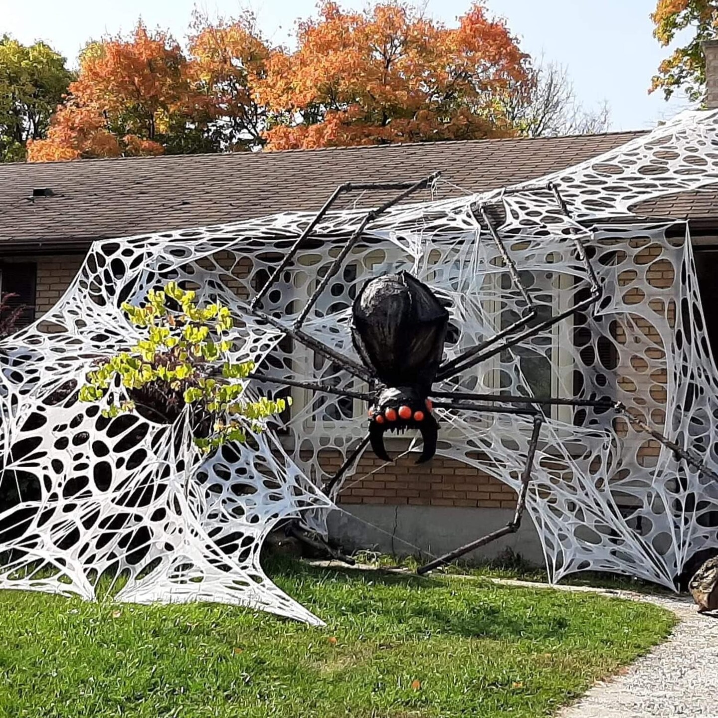 Halloween Spider Web