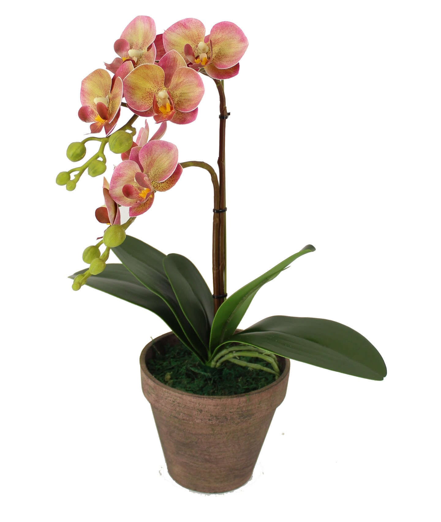 Phalaenopsis Bonsai Artificial Orchid Arrangement,Decorative Orchid Flower  Bonsai with Vintage Flowerpot | MakerPlace by Michaels