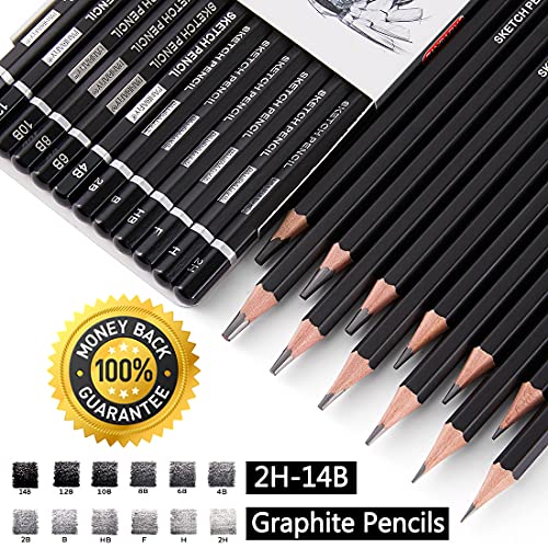12 Pieces Professional Drawing Sketching Pencil Graphite Pencils(14B - 2H), Ideal for Drawing Art, Sketching, Shading, Artist Pencils for Beginners & Pro Artists