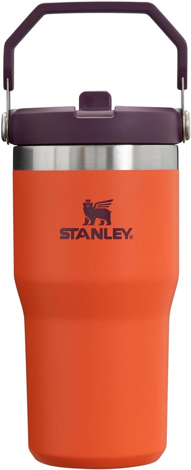 Iceflow Stainless Steel Tumbler with Straw, Vacuum Insulated Water Bottle for Home, Office or Car, Reusable Cup with Straw Leak Resistant Flip