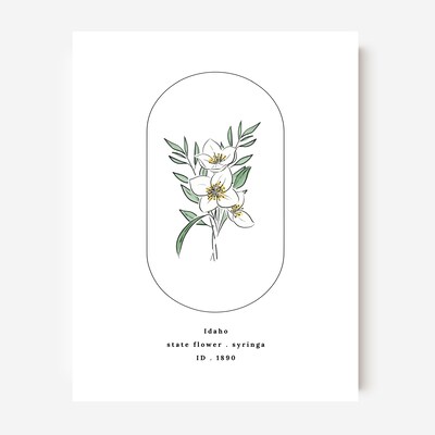 Idaho Syringa US State Flower Print | Unframed American Floral Art