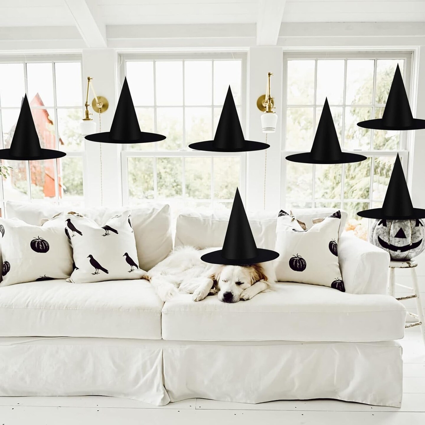 12Pcs Witch Hats Costume