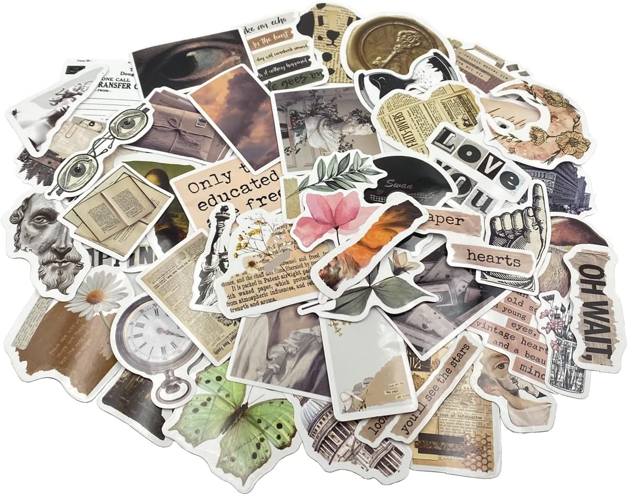 100 Pcs Aesthetic Stickers