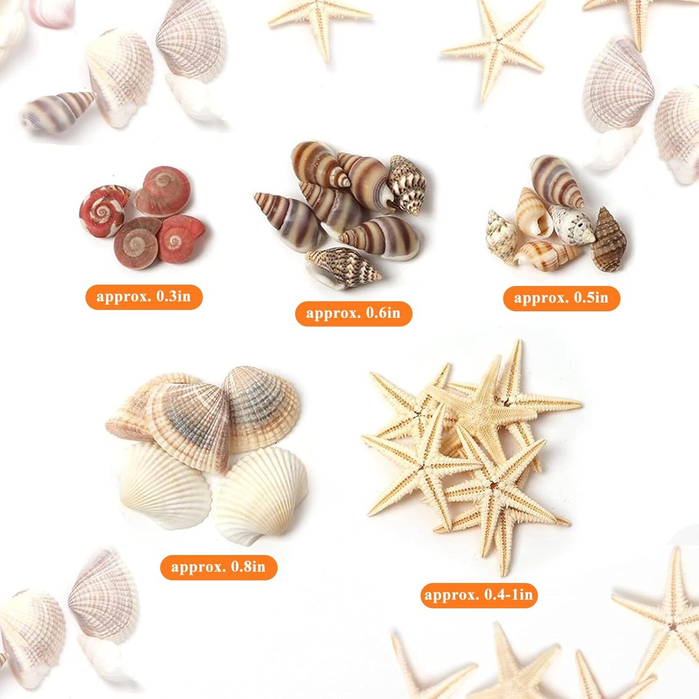 1200-Piece Tiny Sea Shells & Starfish Set – Natural Mixed Ocean Spiral Seashells for Home Decor, Wedding, Candle Making, Beach-Themed Party, DIY Crafts & Vase Filler
