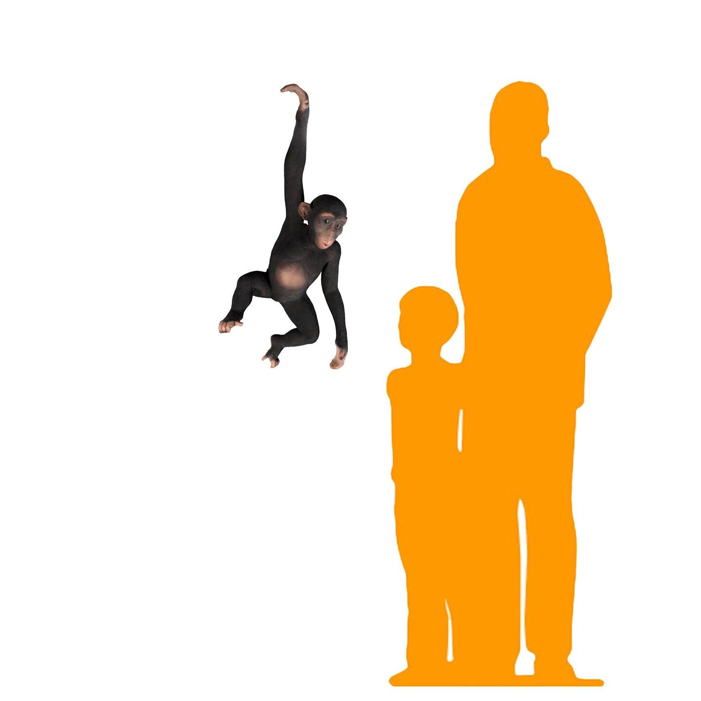 Monkey Chimpanzee Hanging Life Size Statue
