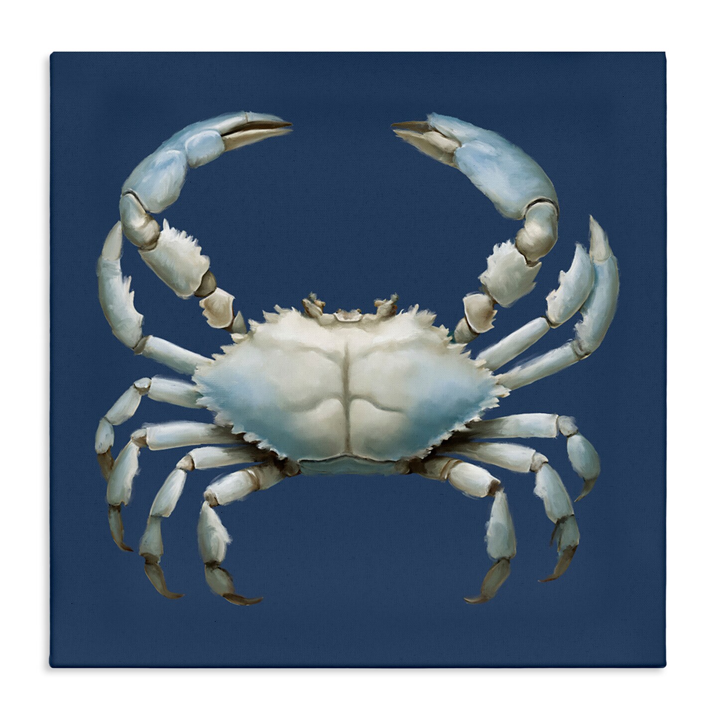 Stupell Industries Detailed Aquatic Blue Crab Canvas Design by ...