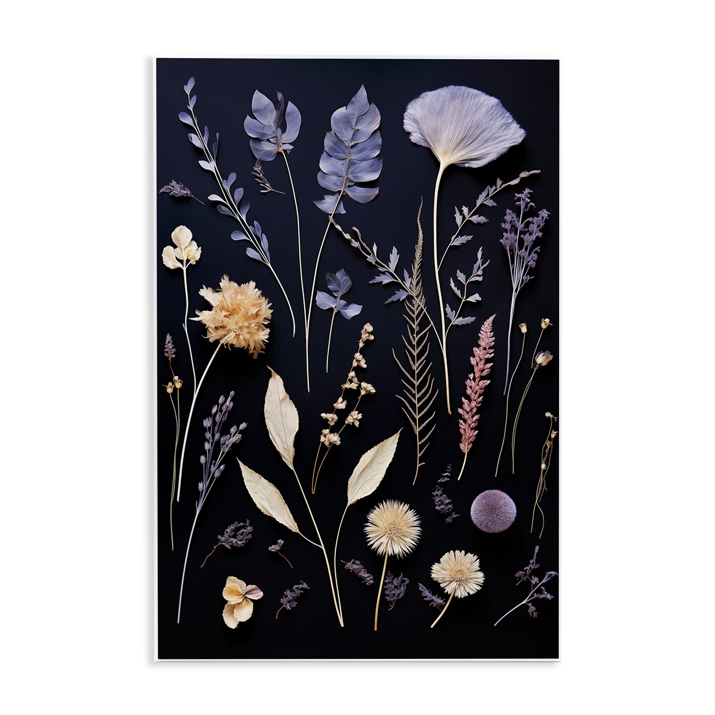 Stupell Industries Various Sprigs on Black Wall Plaque Design by Heidi Kuntz