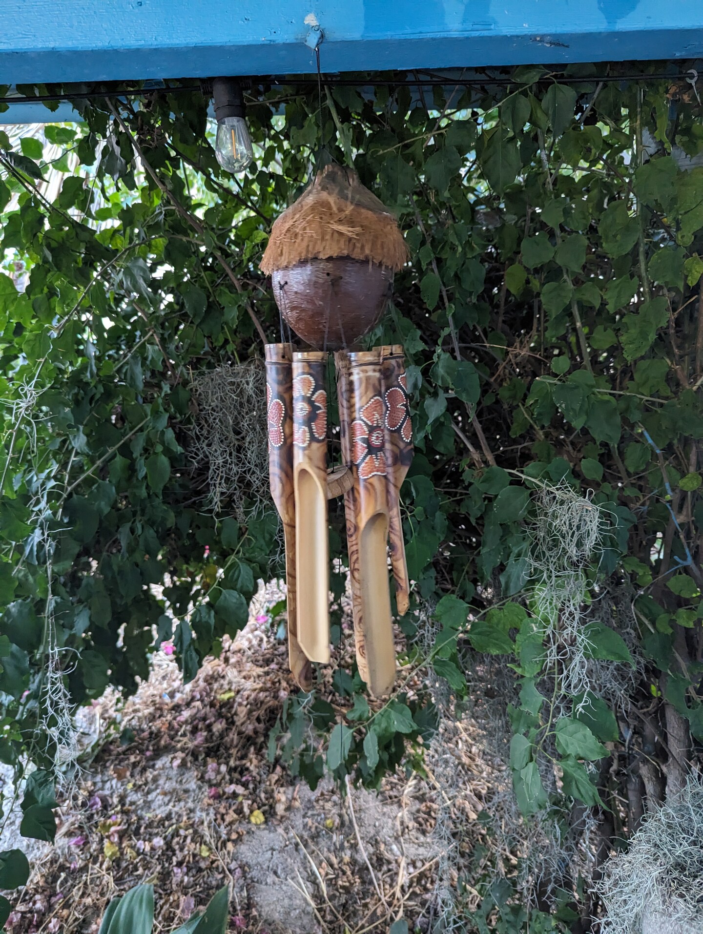 Shops Cactus Bamboo Wind Chime