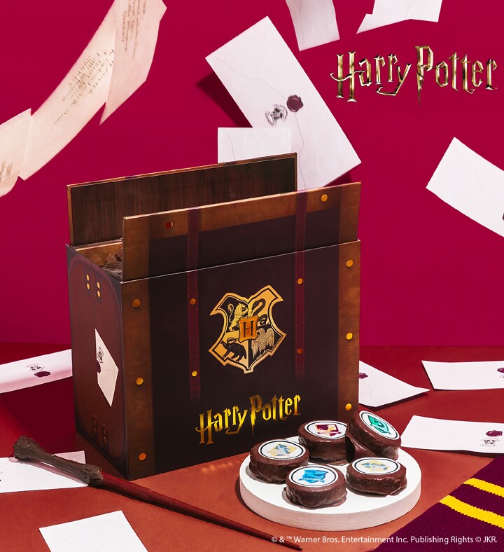 Dad&#x27;s Harry Potter Acceptance Letter Bundle