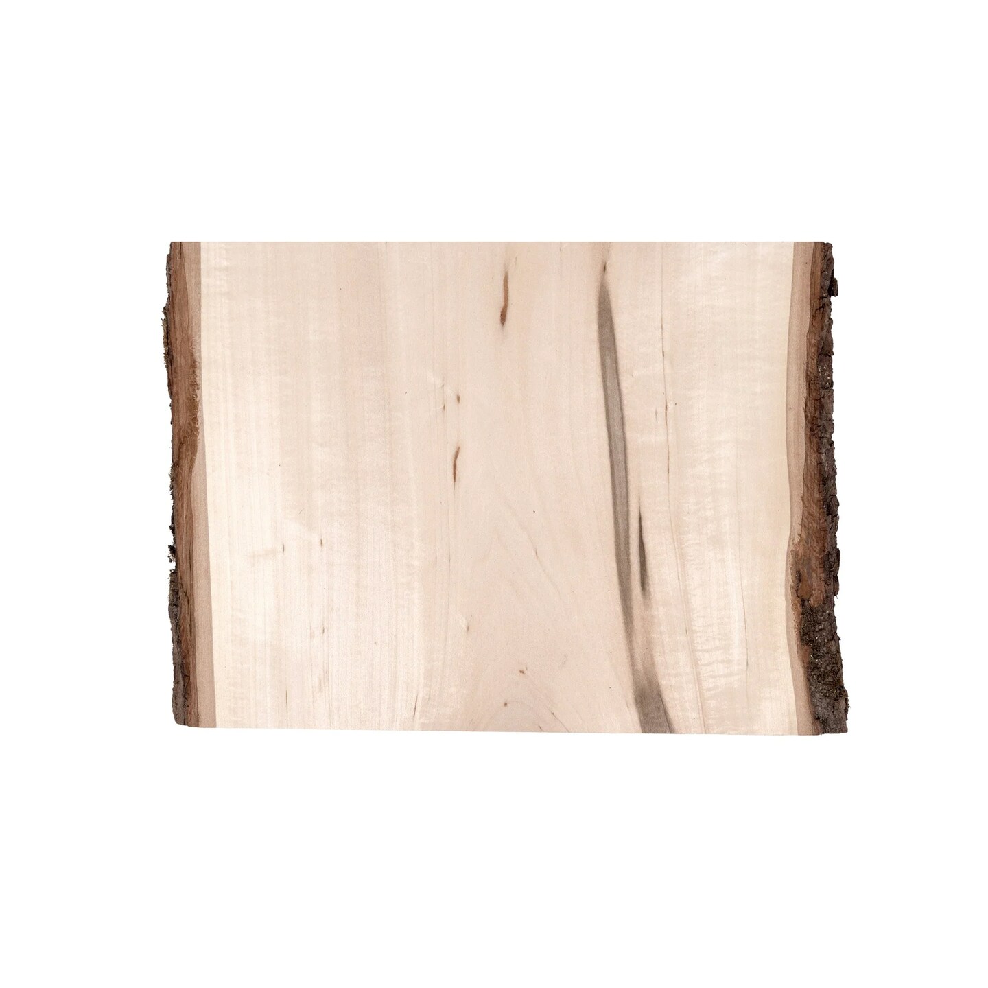 Rustic Basswood Bark Edge Planks, 6-pack, 9" Long for Mixed Media