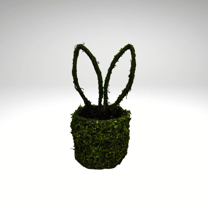 Moss Bunny Ears Basket – 14"x6" Natural Grapevine Easter & Spring Decor-63656GN