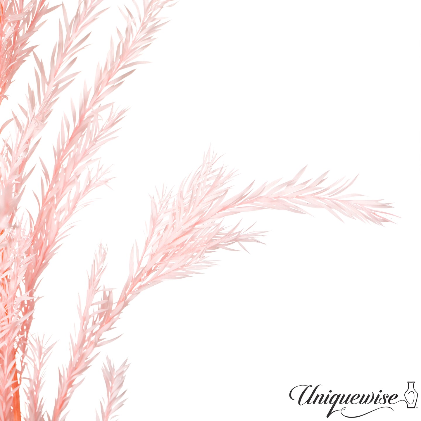 Uniquewise Preserved Real Floral Stems Chic Vase Fillers &#x26; Accents for Bouquets Centerpieces &#x26; Ornamental Displays Ideal for Home Office Boutique Cafe Resto Bar and Event Decor