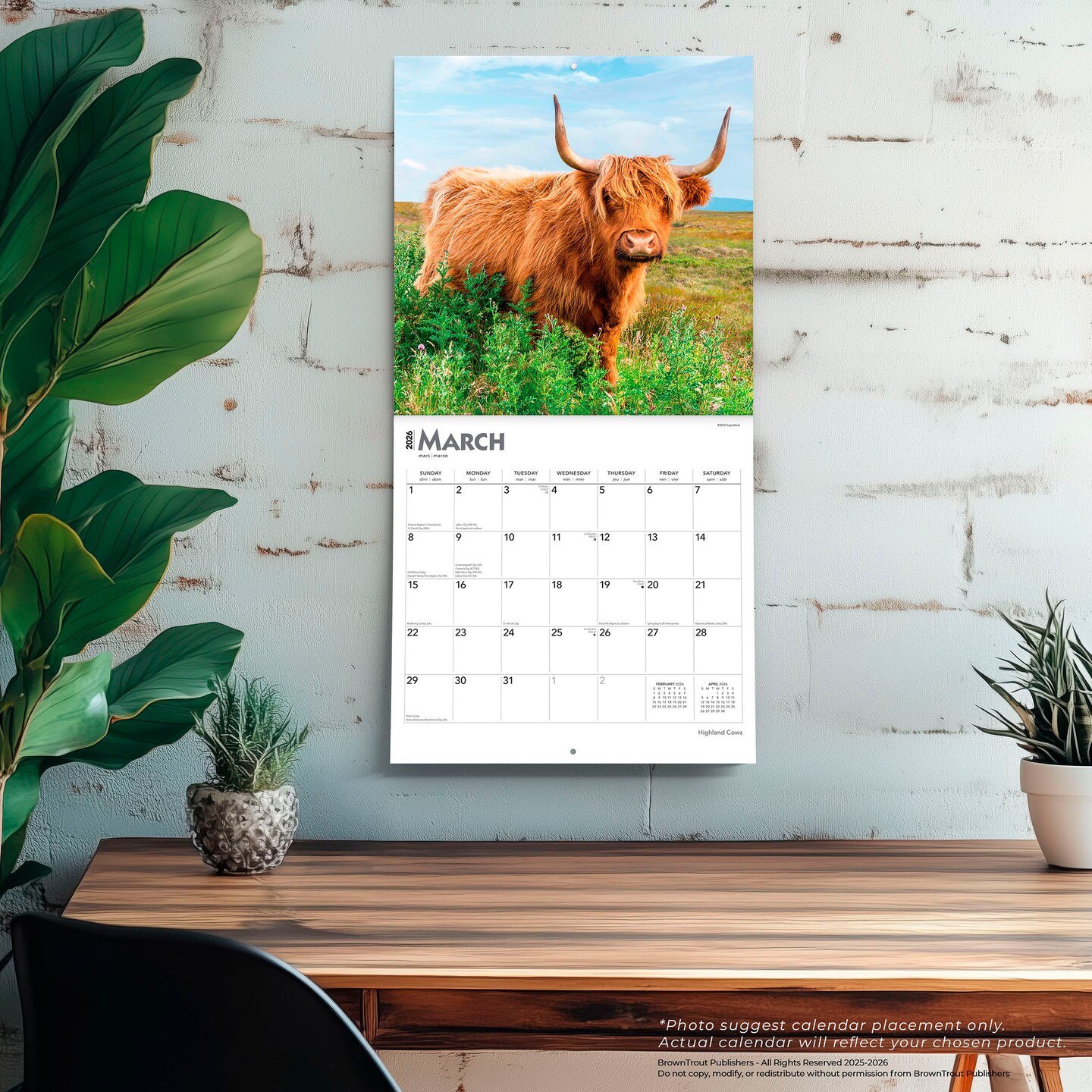Highland Cows | 2026 12 x 24 Inch (Hanging) Monthly Square Wall Calendar | Plastic-Free