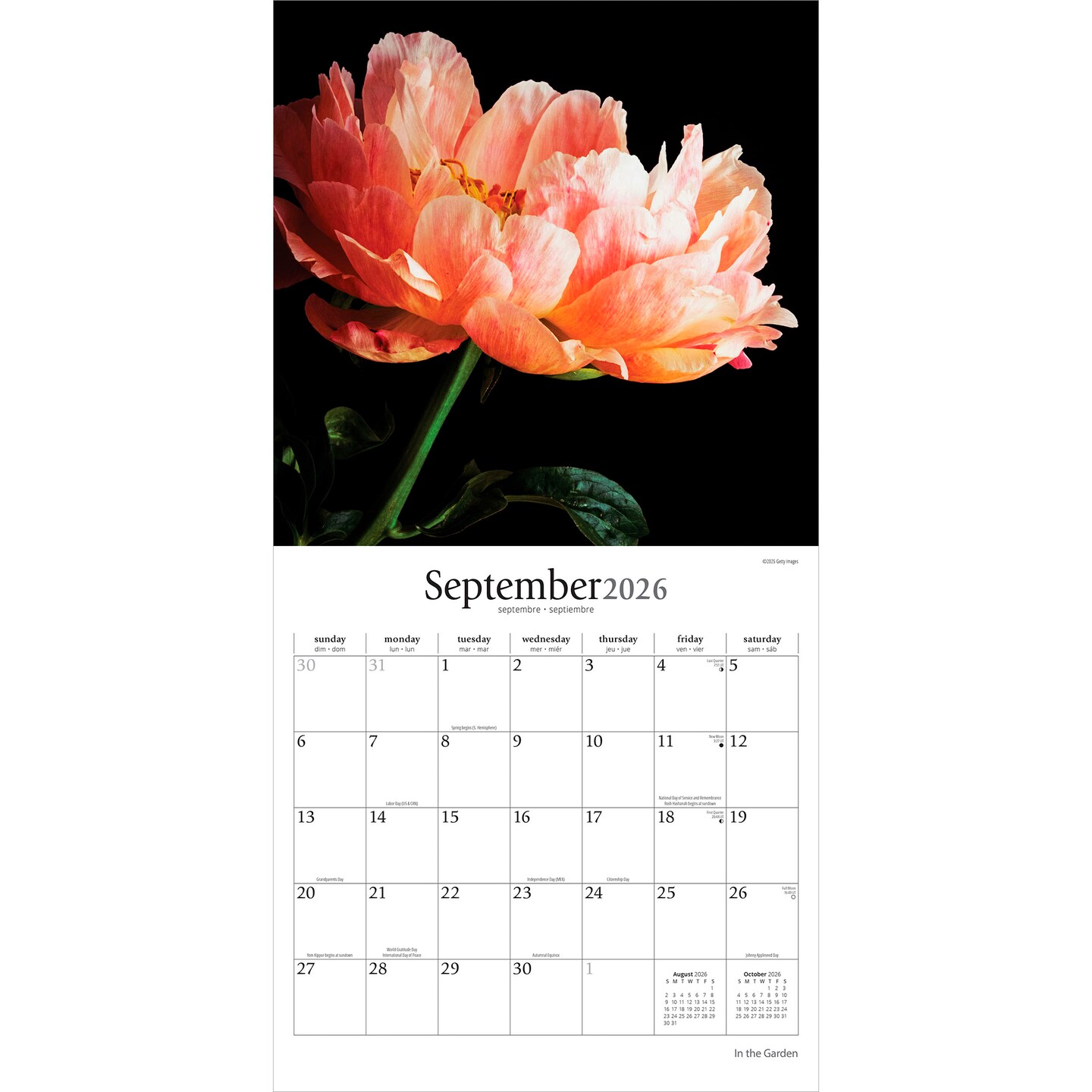 In the Garden | 2026 12 x 24 Inch (Hanging) Monthly Square Wall Calendar | Plastic-Free