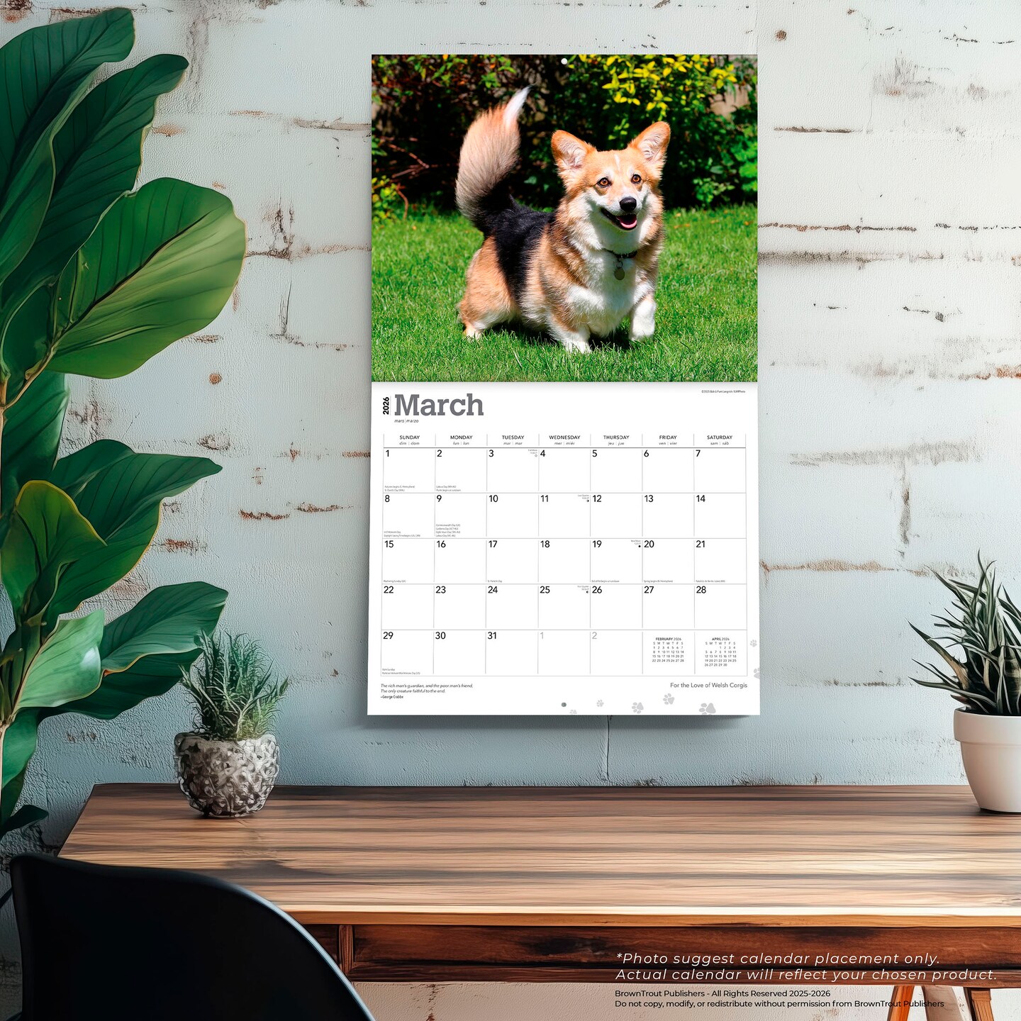 For the Love of Welsh Corgis | 2026 14 x 24 Inch (Hanging) Monthly Deluxe Wall Calendar | Foil Stamped Cover | Plastic-Free
