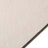 Colorplan NATURAL - 12.5" x 19" - 100 Lb. / 270 Gsm Matte Premium Cardstock Paper Cover Sheet - 100 Sheets
