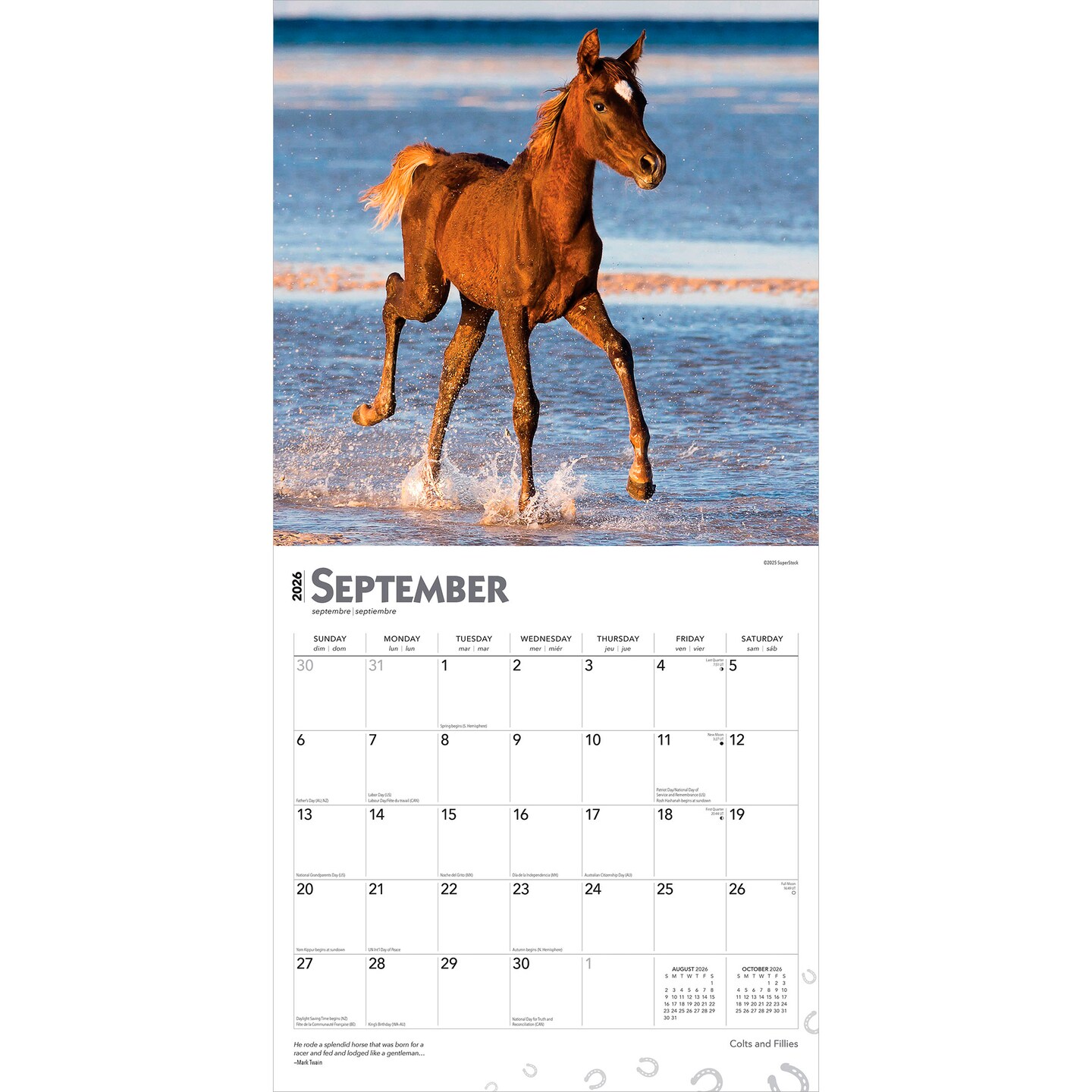 Colts and Fillies | 2026 12 x 24 Inch (Hanging) Monthly Square Wall Calendar | Plastic-Free