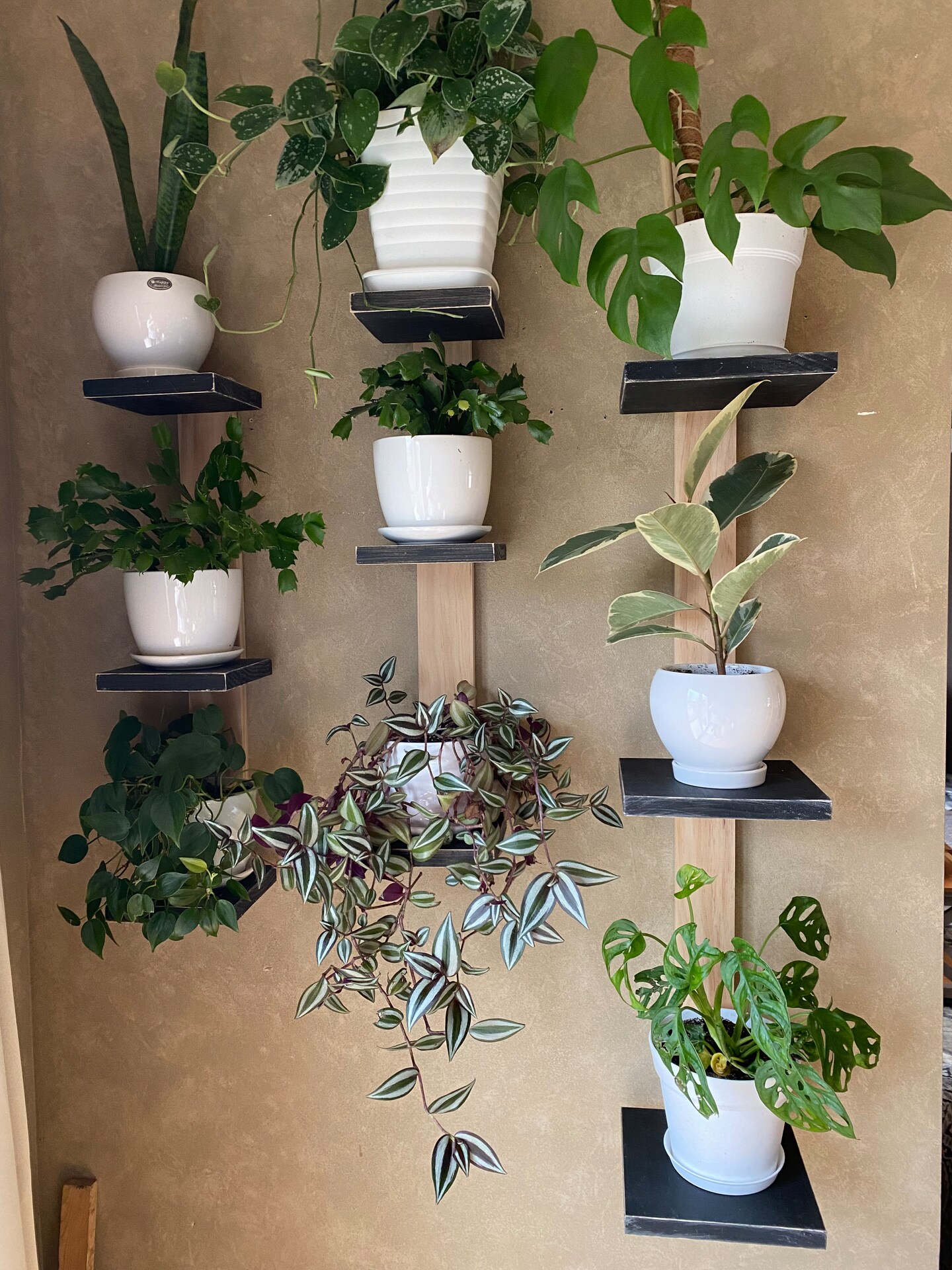 XLG-Plant Shelf, 3-tiered shelf, floating shelf, cat proof shelf, plant  stand, small shelf, hanging plant shelf, wall planter, pot shelf |  MakerPlace by Michaels