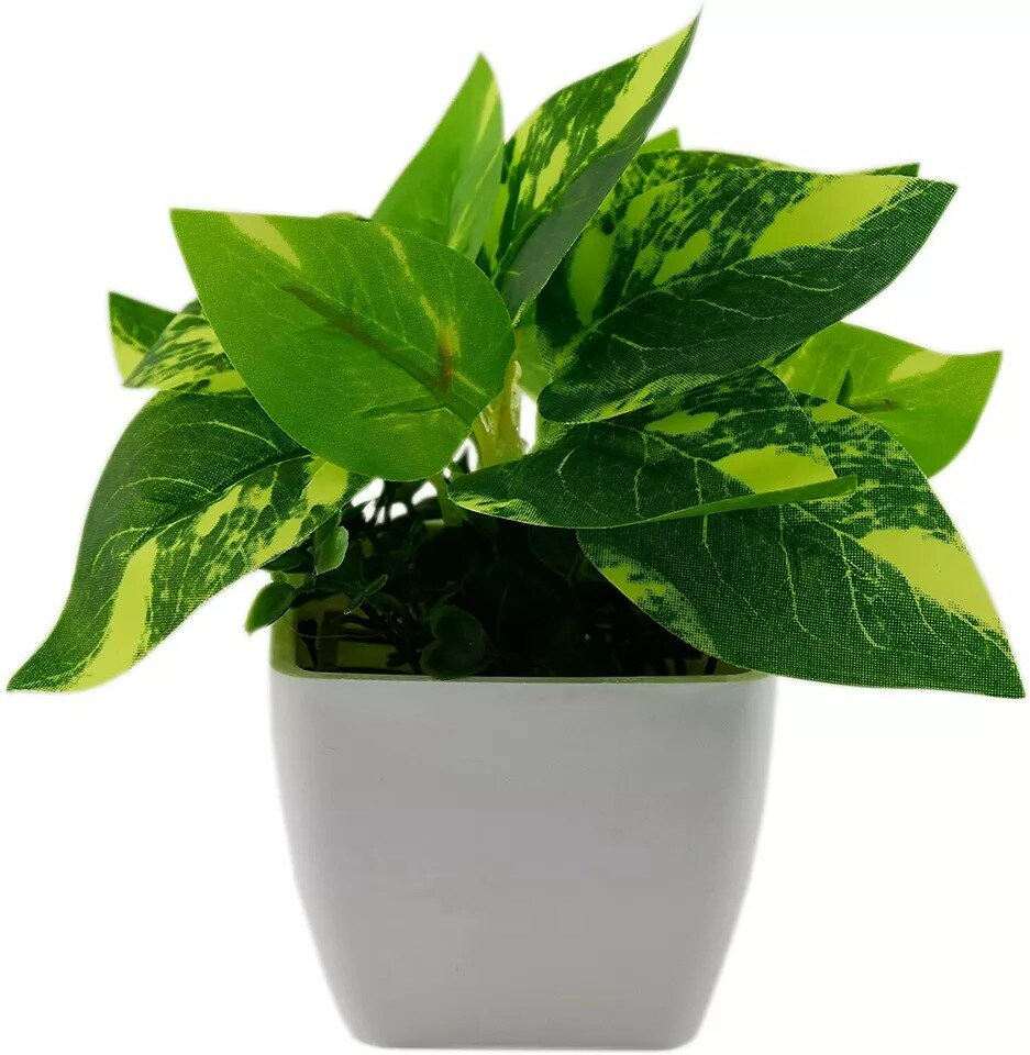 Artificial Plants Pack of 3 Scindapsus aureus Sweet Potato Leaves (Plastic Pot)