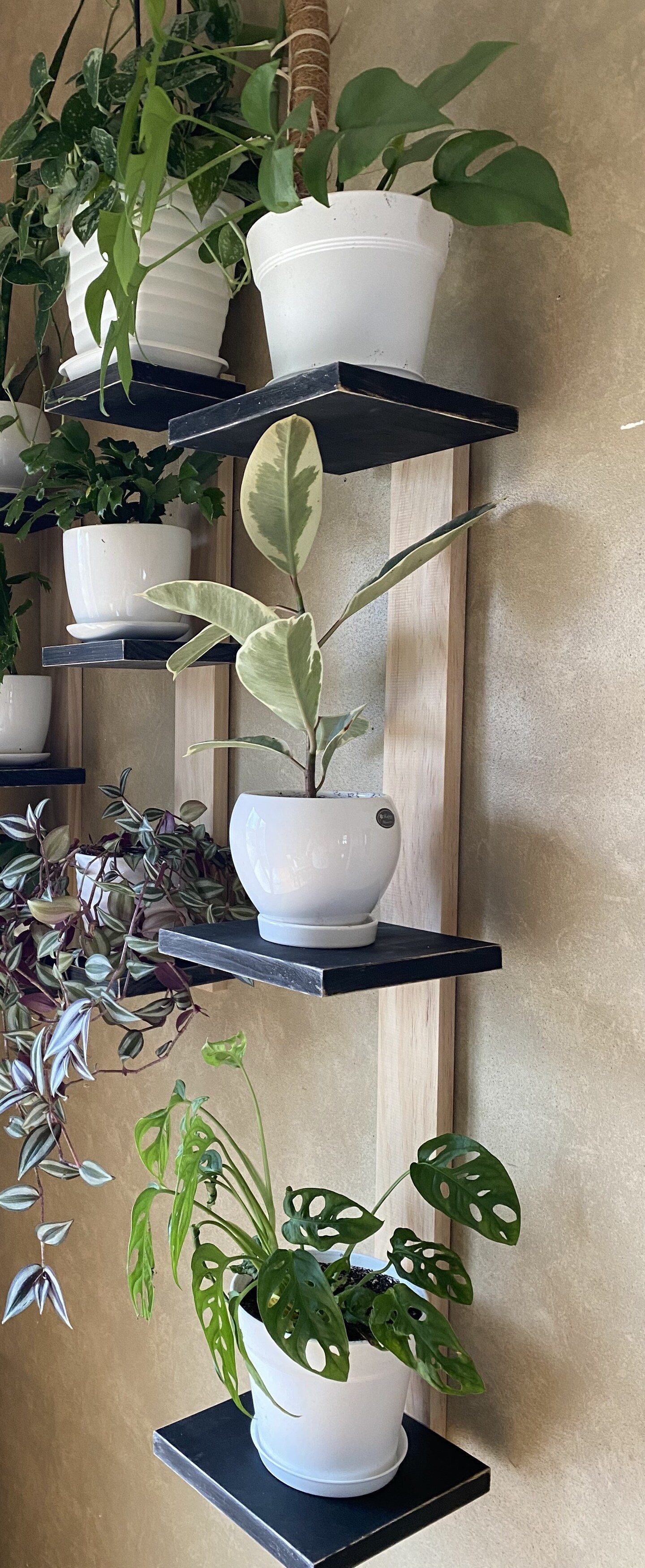 XLG-Plant Shelf, 3-tiered shelf, floating shelf, cat proof shelf, plant  stand, small shelf, hanging plant shelf, wall planter, pot shelf |  MakerPlace ...