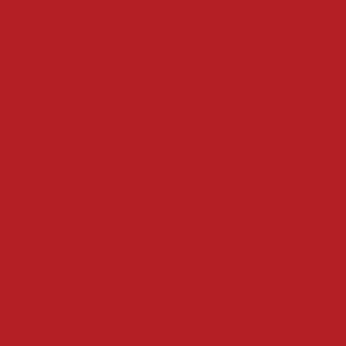 Solid Red Anti-Pill Fleece Fabric (Medium Weight) | By The Yard