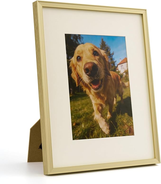 8x10 Gold Metal Picture Frame with Mat for 5x7 Photo, Aluminum