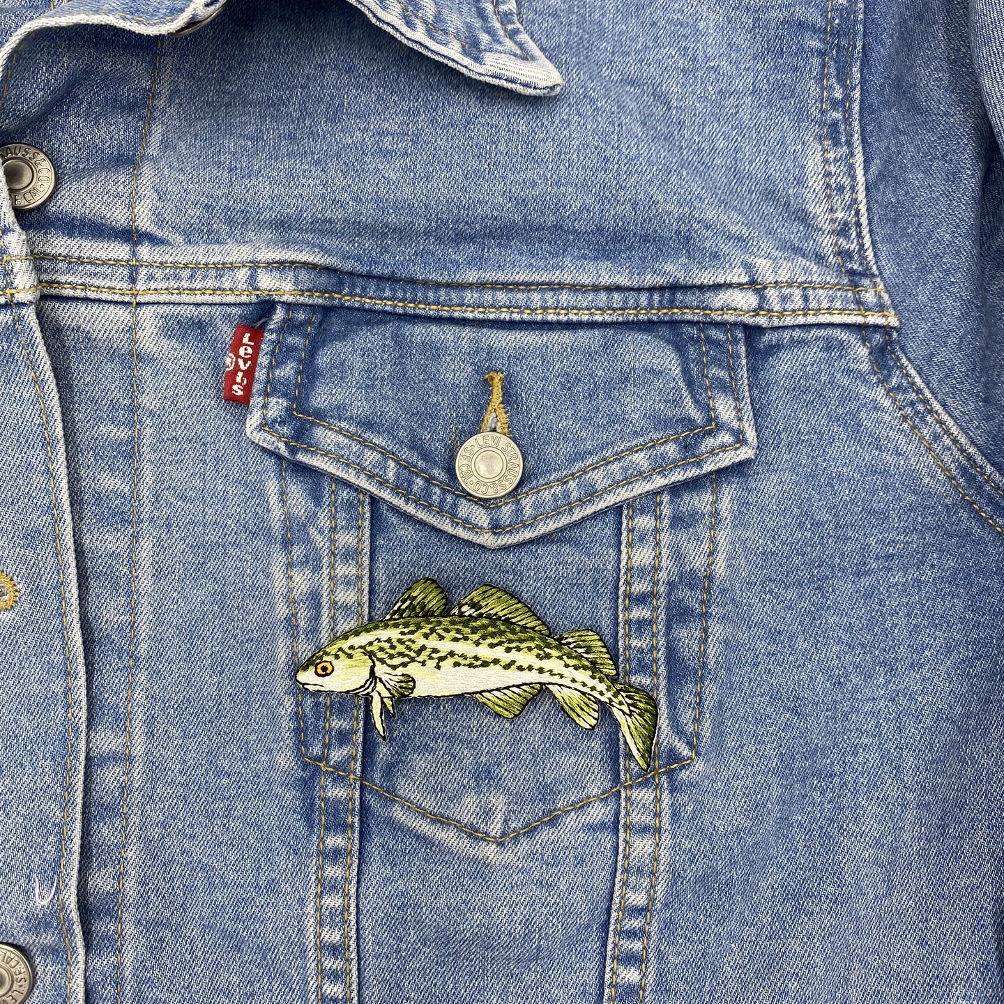 Cod Fish, Realistic Animals, Embroidered, Iron on Patch