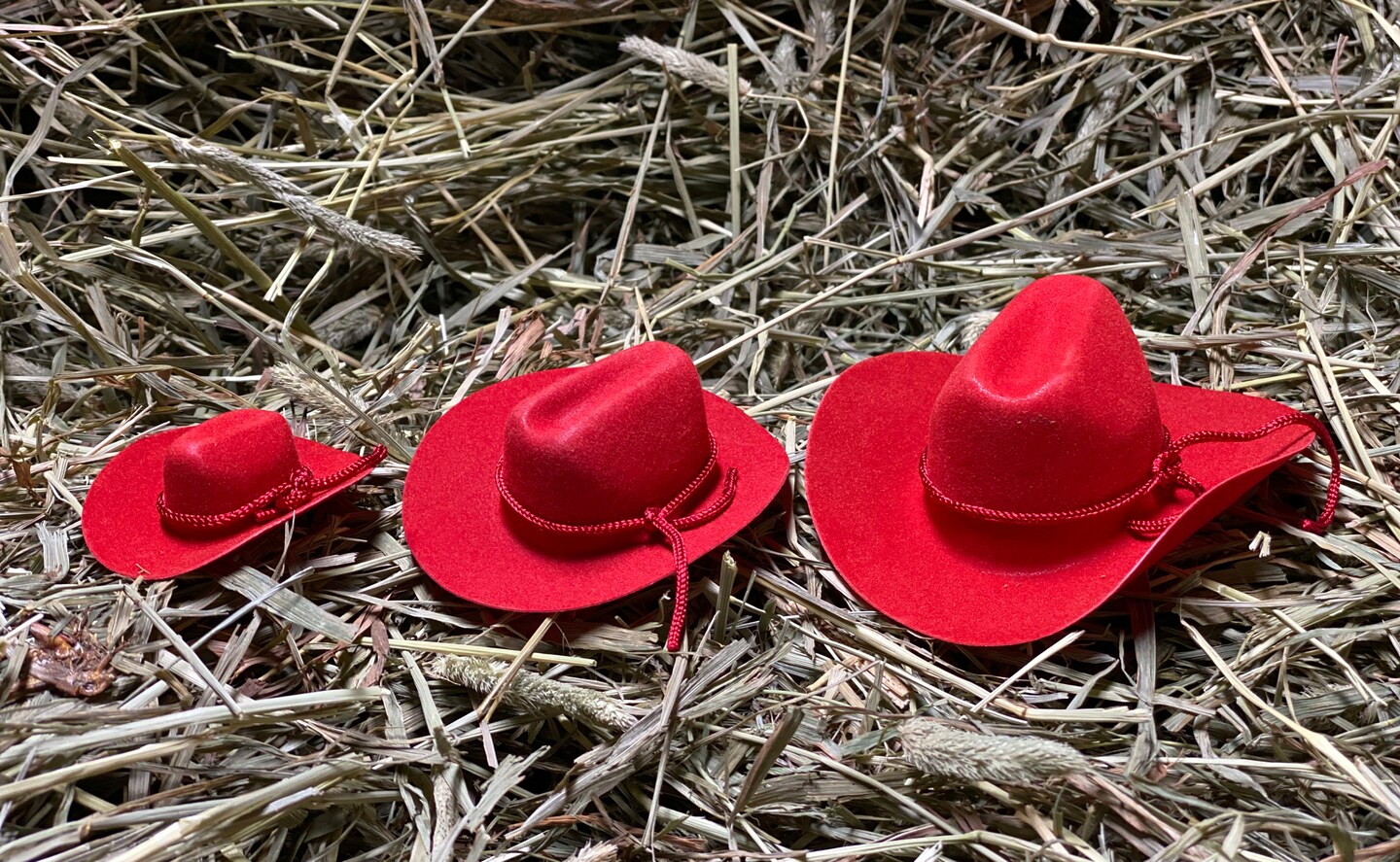 12pcs Mini Cowboy Hat Western Wedding Favors Decoration 2