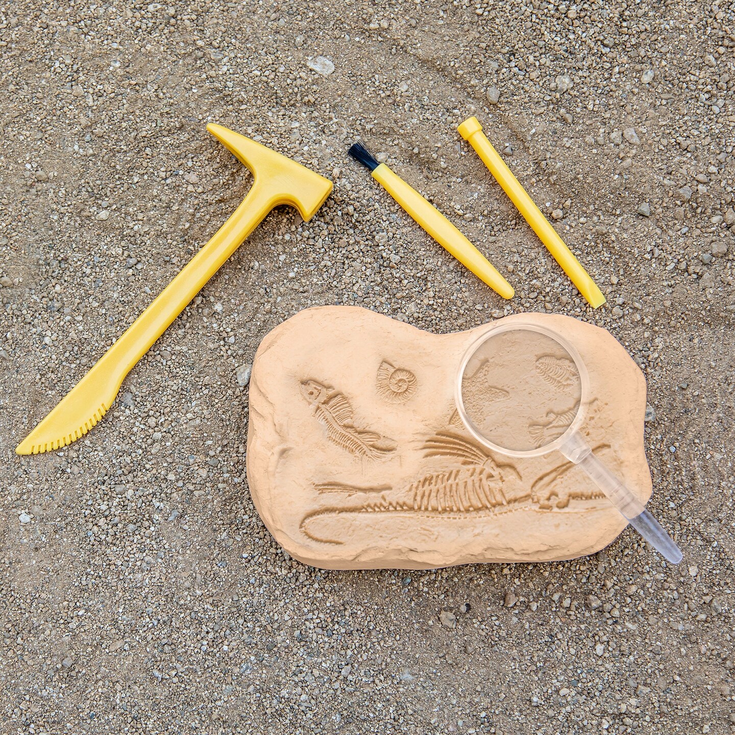 GeoSafari&#xAE; Jr. Fossil Excavation Kit