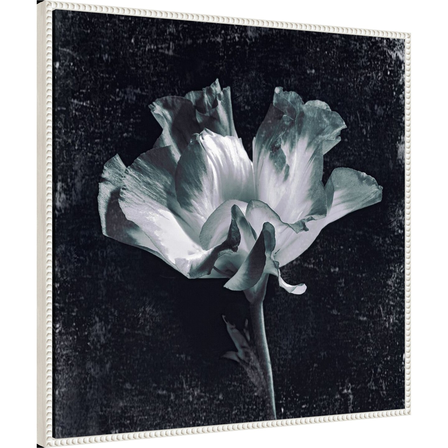 Aurora Blooms III by Sia Aryai Framed Canvas Wall Art