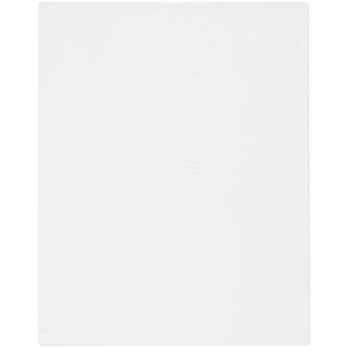 Plymor 12&#x22; x 15&#x22;, White 2 Mil Flat Open Plastic Poly Bags