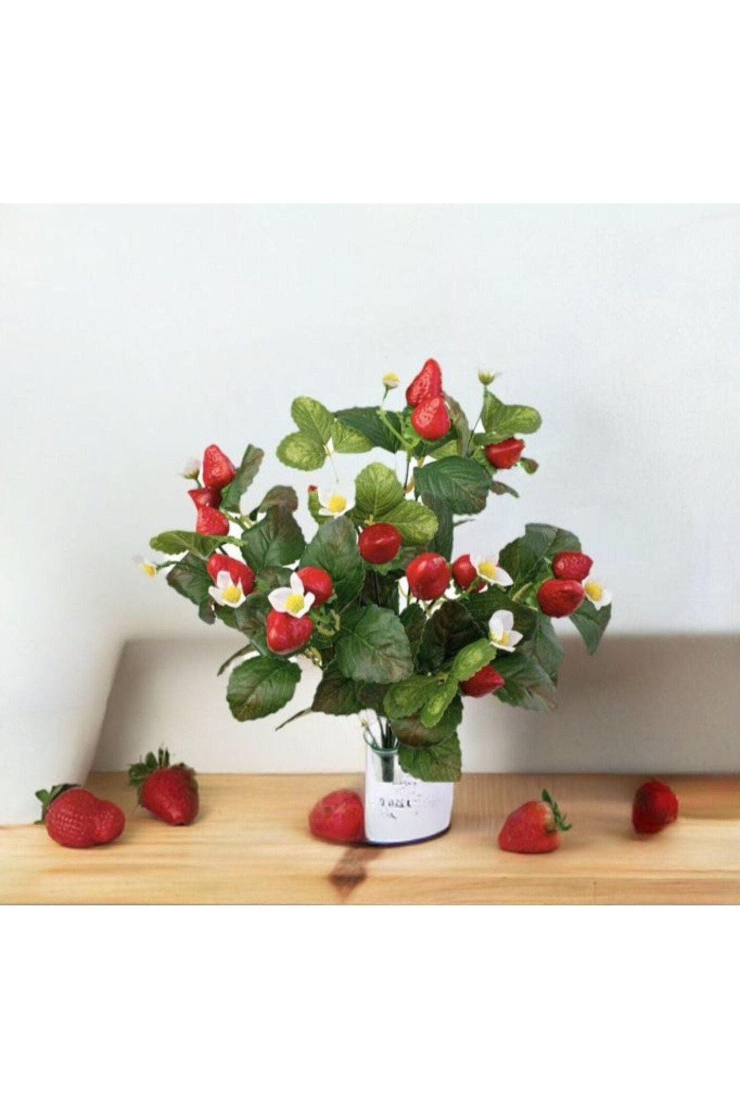 17&#x22; Strawberry Bush