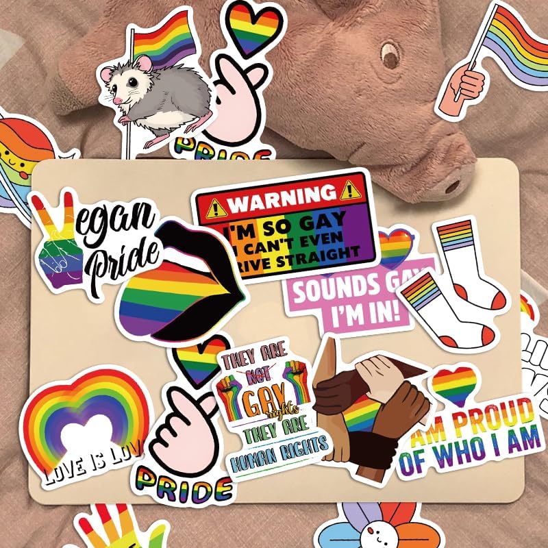 52PCS Pride Stickers Rainbow Stickers LGBTQ Vinyl Sticker Gay Graffiti Sticker for Laptop Pride Decorations Rainbow Accessories