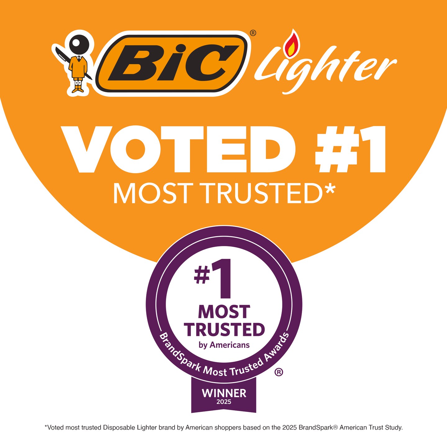 BIC EZ Reach Lighter, Home D&#xE9;cor