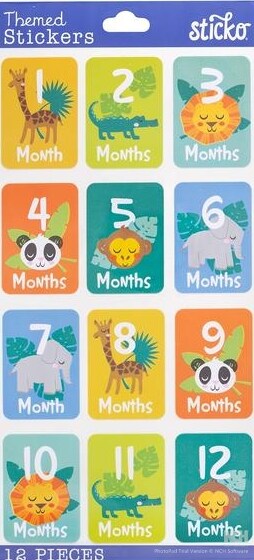 Sticko Baby Boy Month Stickers