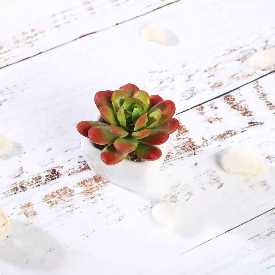 Set of 3 3&#x22; tall Mini Faux Succulent Plants with Off White Ceramic Pots Wedding