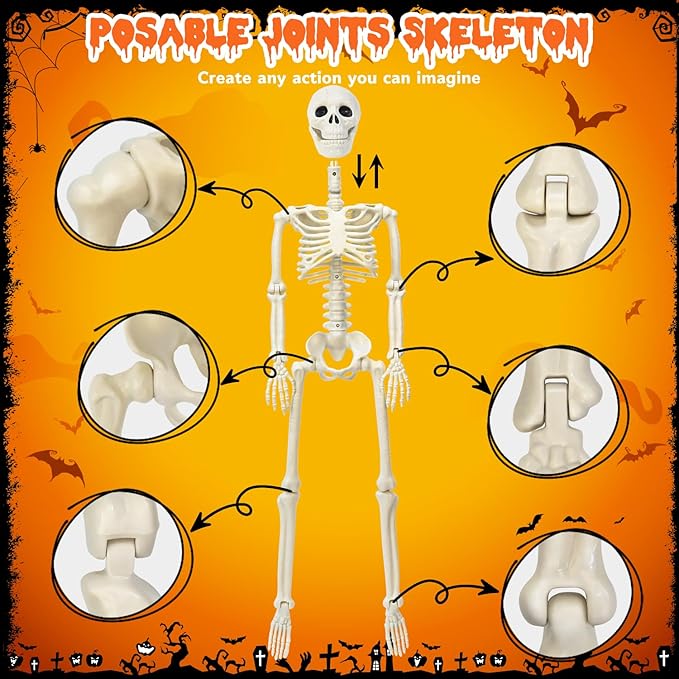 Skeleton Halloween Decorations, 3FT Halloween Posable Skeleton with Dog &#x26; Cat Skeleton - 5 in 1 Creepy Halloween Plastic Movable Joint Skeleton for Halloween Party Yard Decor (36inch)